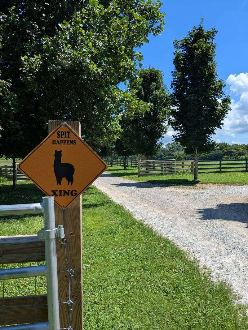 Before You Book: Tips, What to Pack, and House Rules to Know