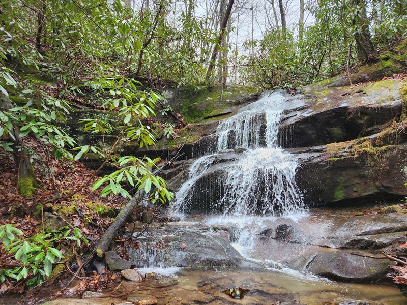 Cherokee National Forest Access