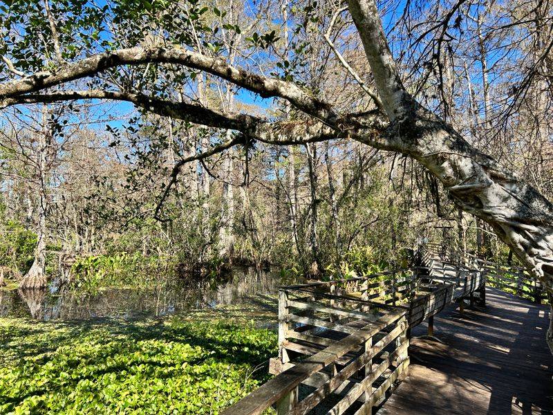 Best Times and Practical Tips