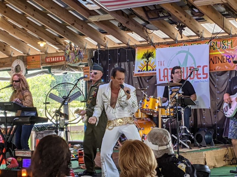 Live Music Under The Pavilion