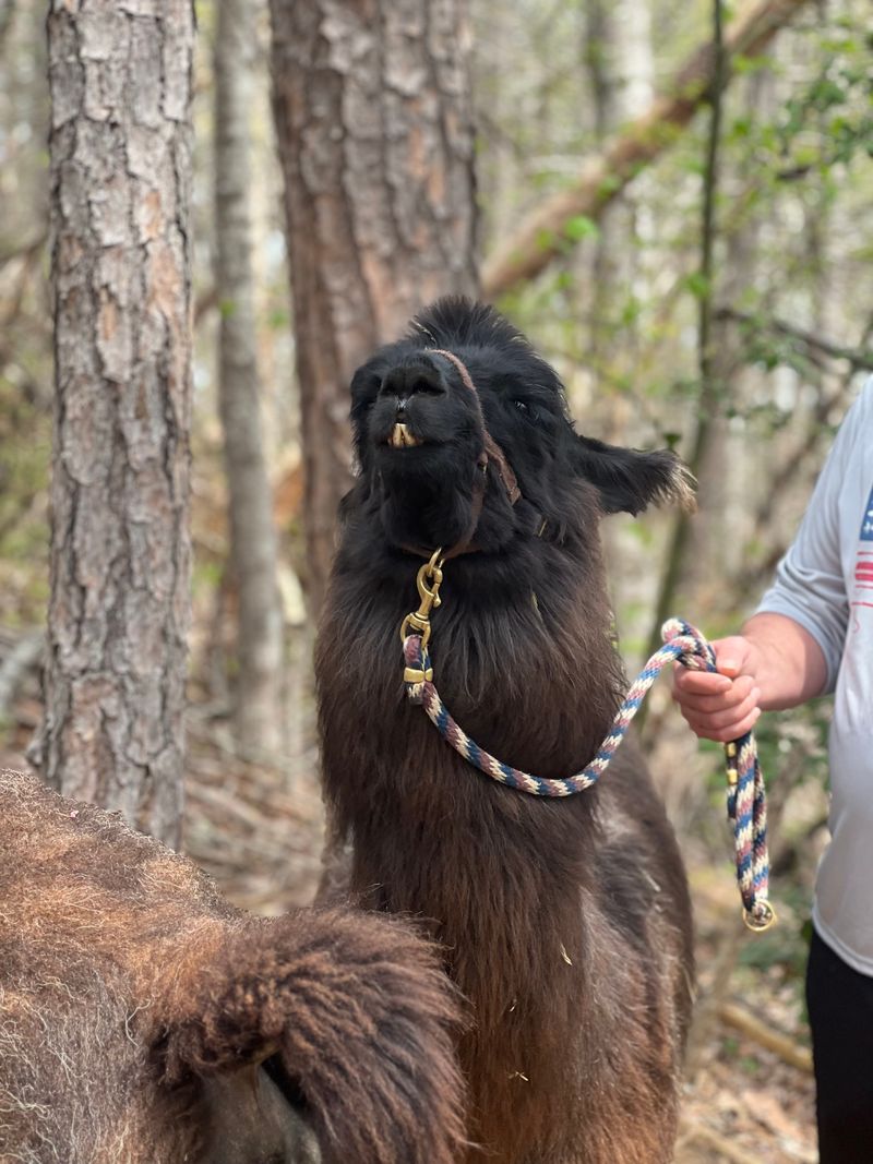 Why This Cosby Experience Belongs on Your Tennessee Bucket List