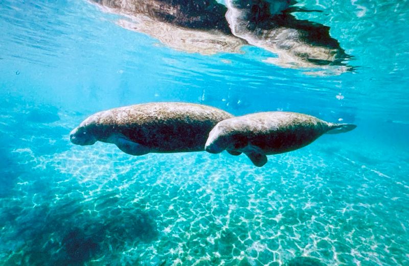 This Underrated Florida Town Is Slowly Turning Into The South’s Favorite Escape