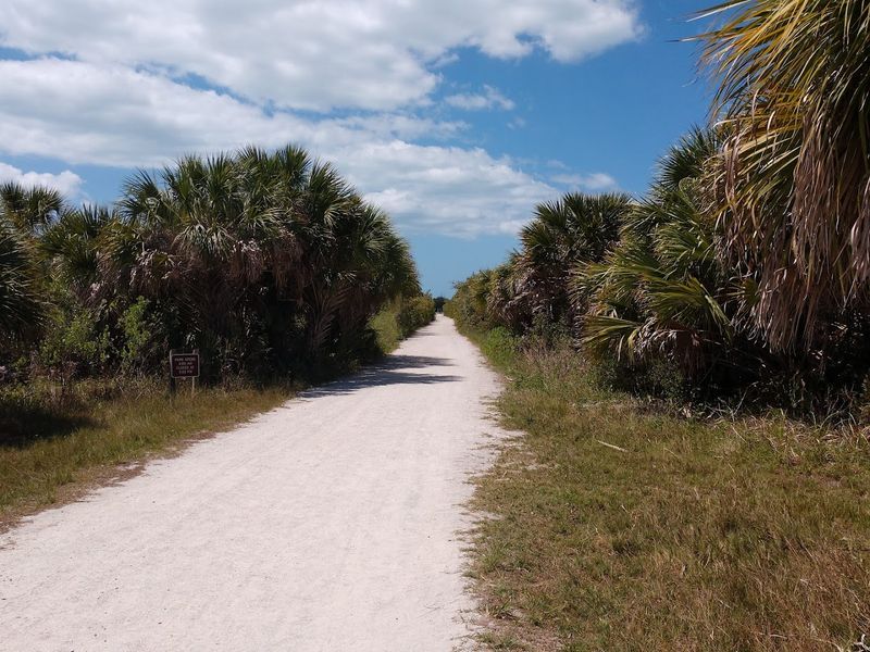 Safety, Rules, And Etiquette