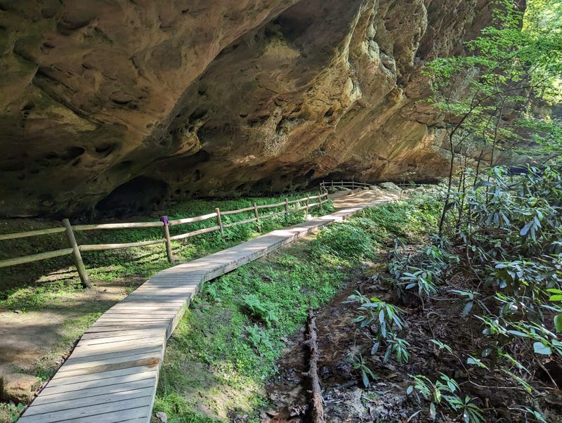 Pickett CCC Memorial State Park