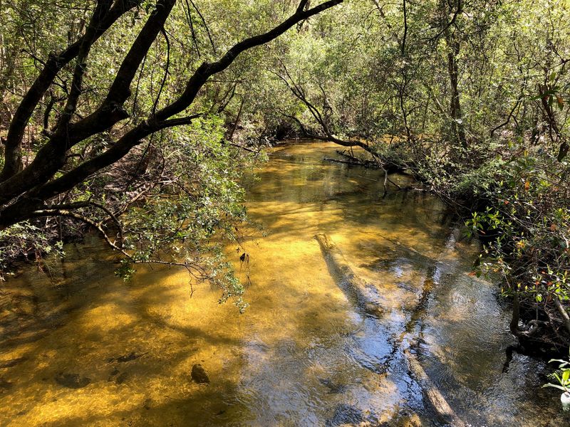 Florida Trail (Alaqua) 