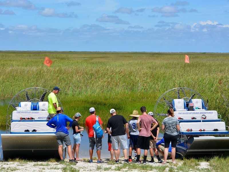 Cypress Domes & River of Grass Landscapes (Big Cypress / Everglades region)