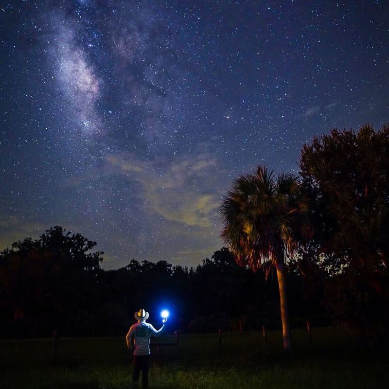 Kissimmee Prairie Preserve State Park (Okeechobee area)