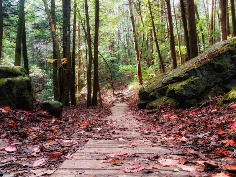 Fiery Gizzard Trail (South Cumberland State Park)