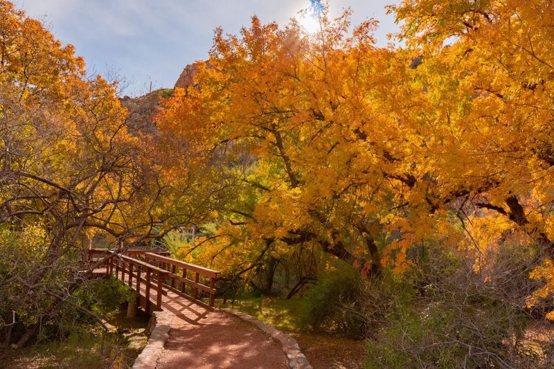 Boyce Thompson Arboretum