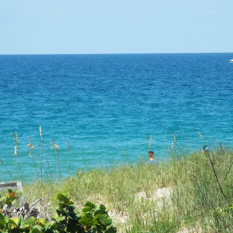 A Quick Trip to Sebastian Inlet