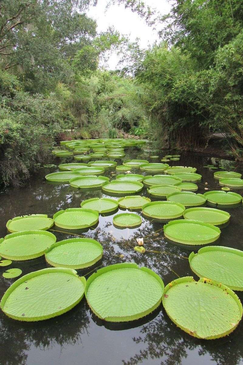 Family Friendly Stops and Playground