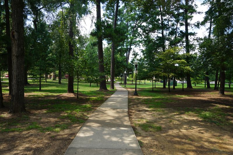 Stephen F. Austin State Park