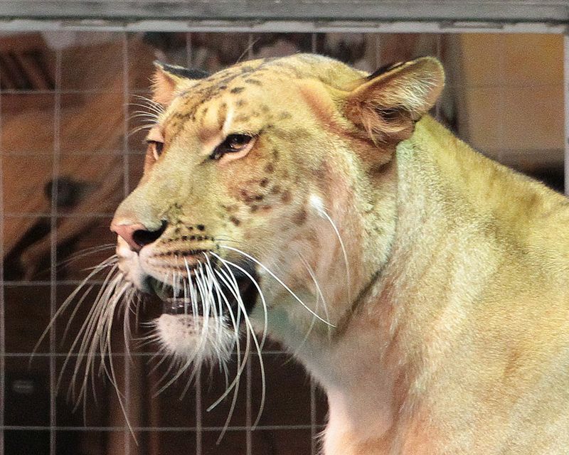 Plan Your Visit Like A Pro