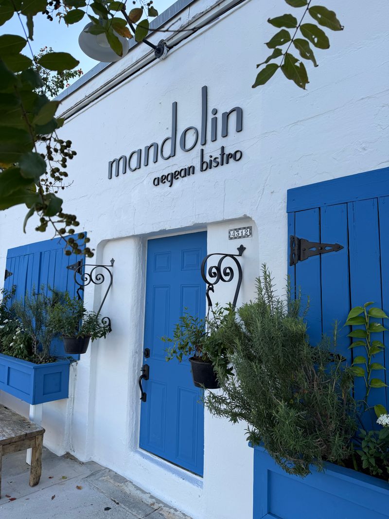 Neighborhood Stroll and Practical Info