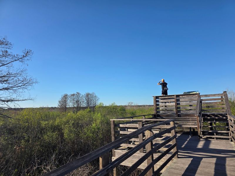 Photography and Listening Spots