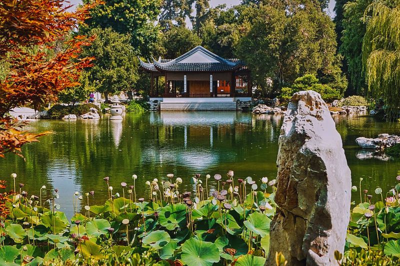 Stroll Through The Huntington Library, Art Museum & Botanical Gardens