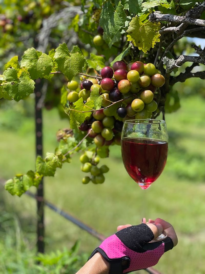 Strong Tower Vineyard & Winery (Spring Hill)