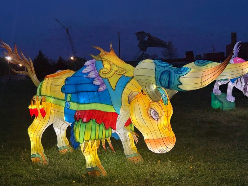 What Is the SeaLights Festival Train Ride?