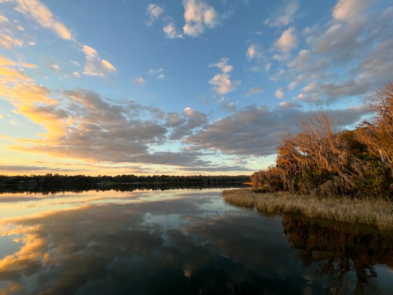 Paynes Prairie Preserve State Park (Gainesville)