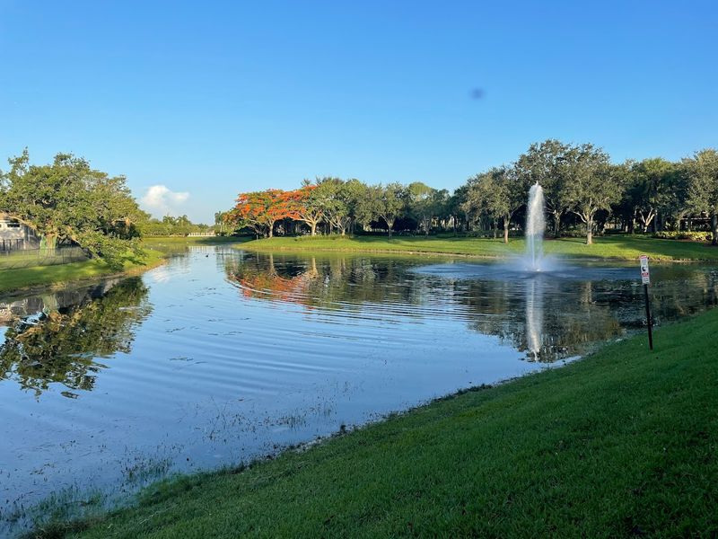 Where Locals Actually Spend Their Time