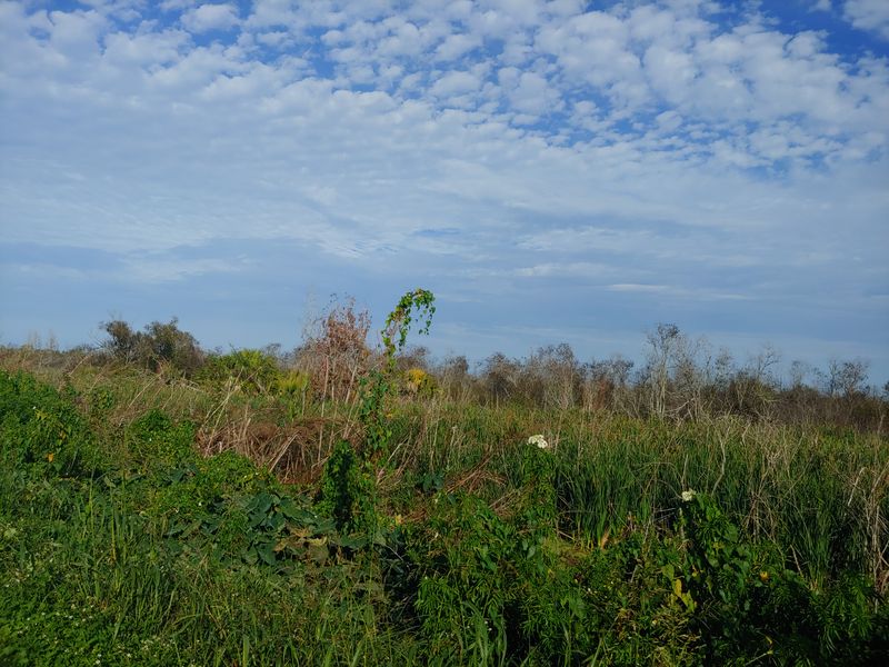 Private Eco-Tours & Guided Wildlife Excursions (Central Florida)