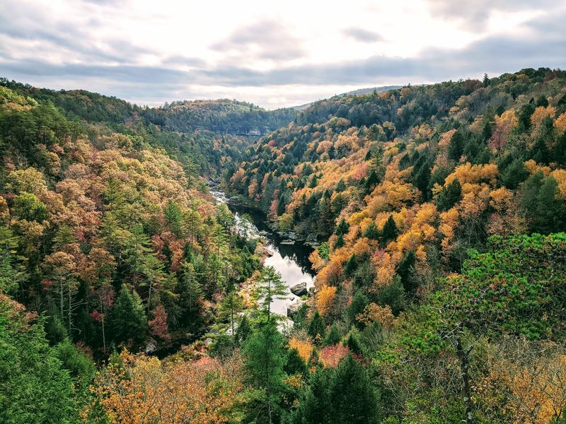 Lilly Bluff Overlook Trail (Obed Wild & Scenic River)