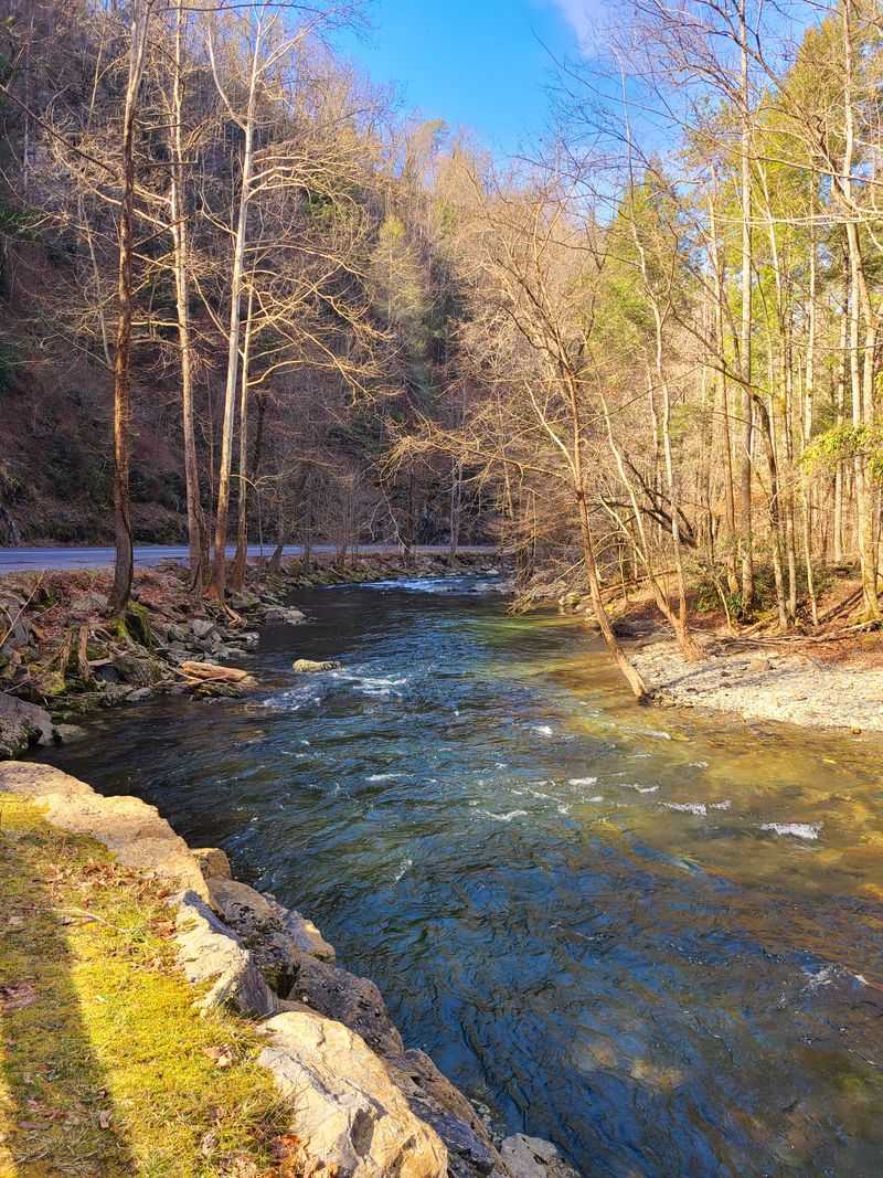 Little River Road (to Elkmont/Tremont)