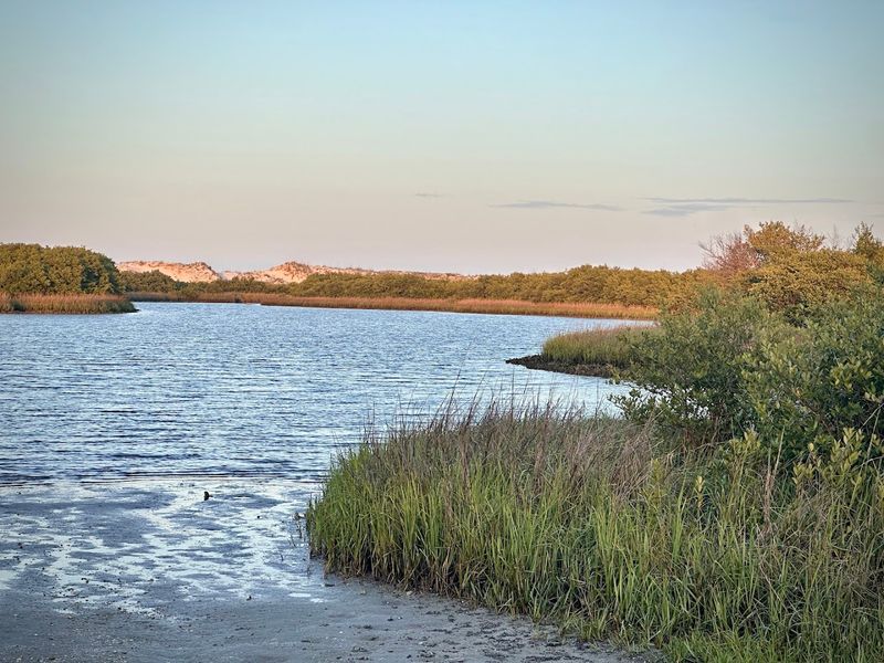 Anastasia State Park Campground (St. Augustine)