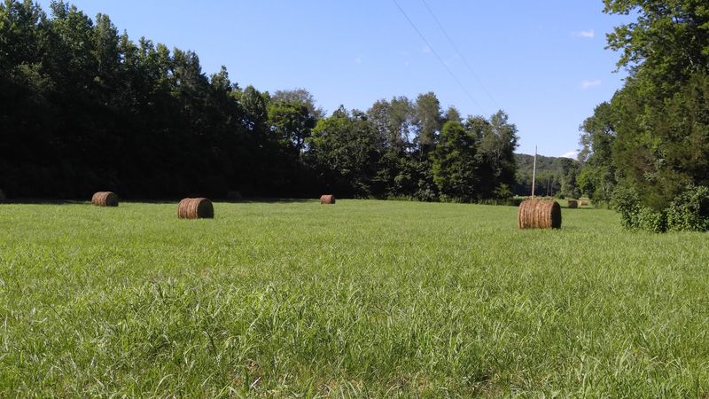 Land Between the Lakes National Recreation Area (Dover)