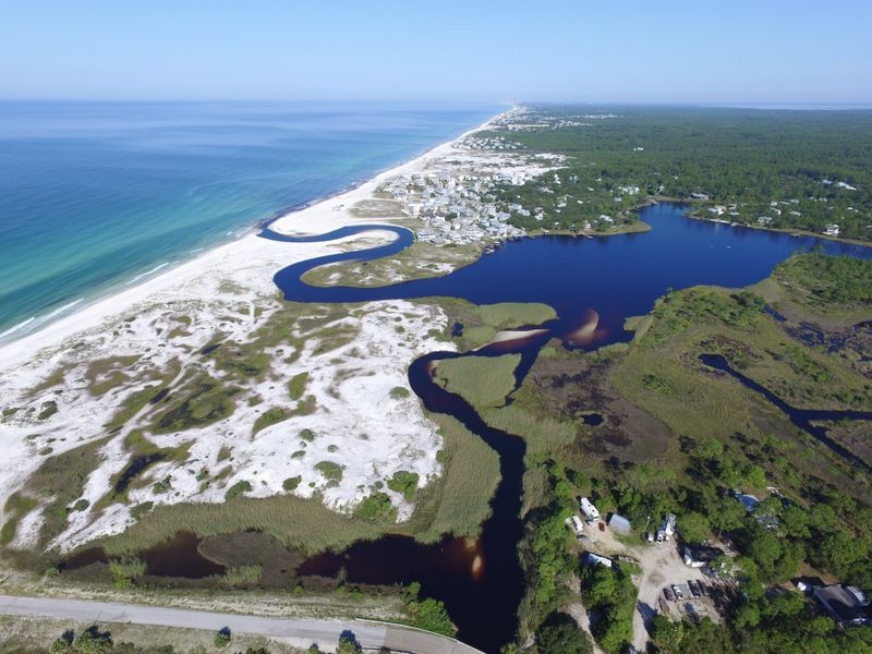 Coastal Dune Lakes (South Walton / 30A area)