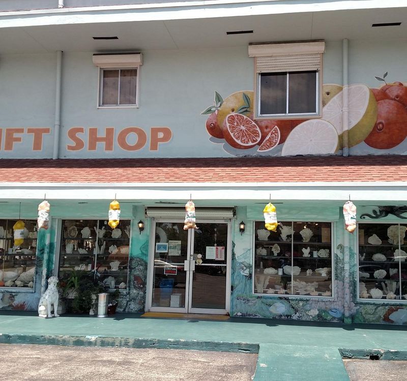 Secret Thrift Nooks off Federal Highway