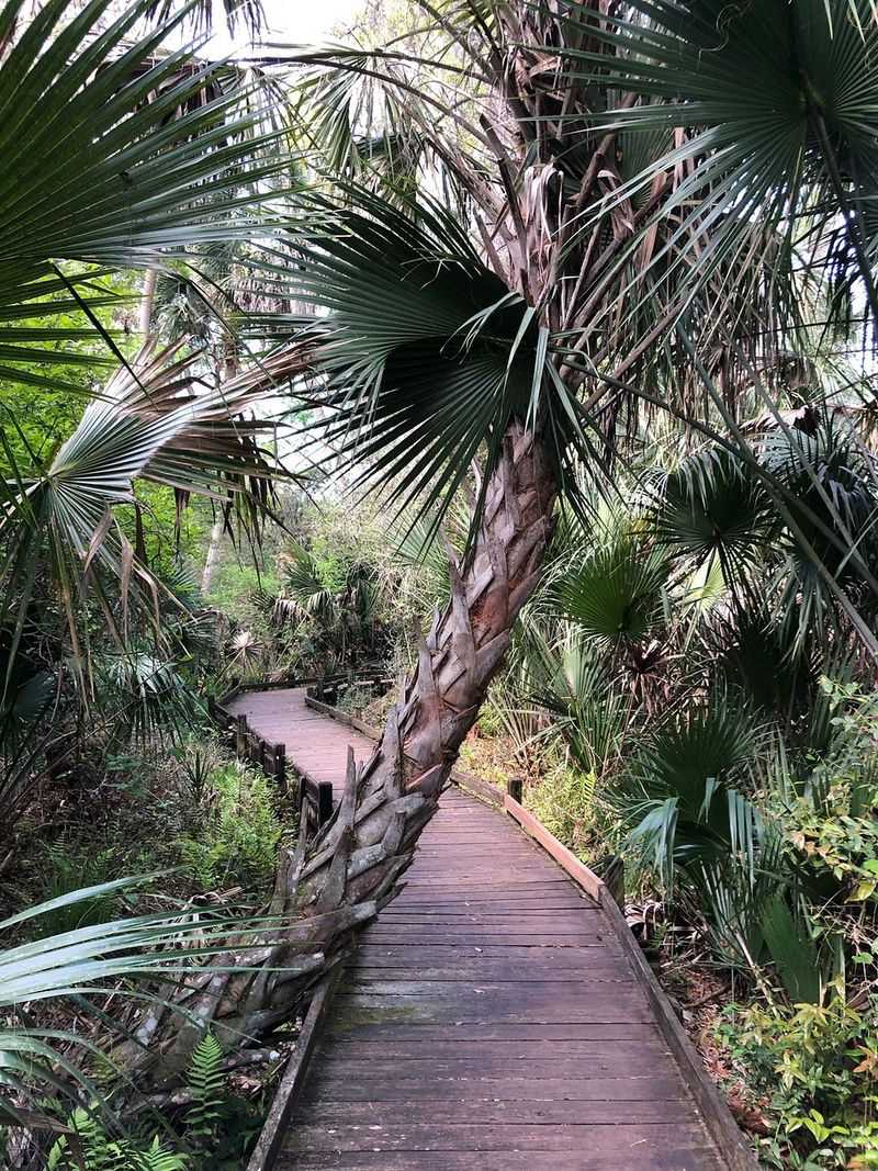 Safety and Respect Essentials