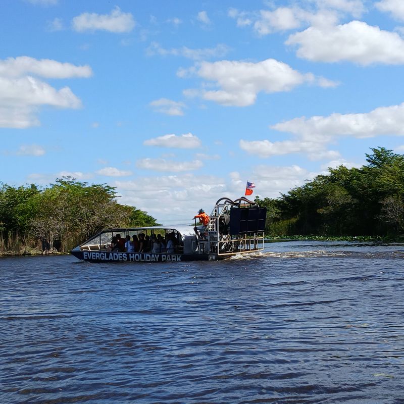Take an Airboat Ride at Dusk