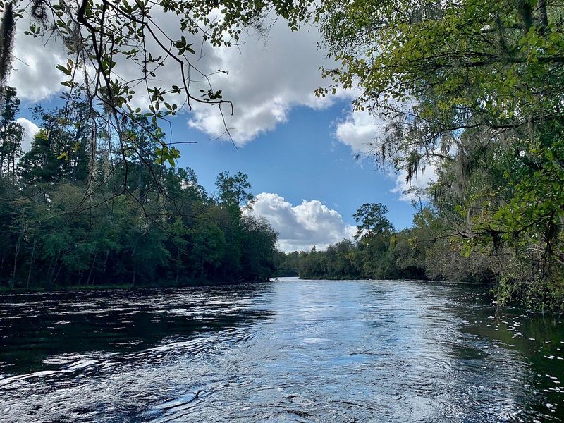 Chase Florida’s biggest whitewater at Big Shoals State Park (Suwannee River)