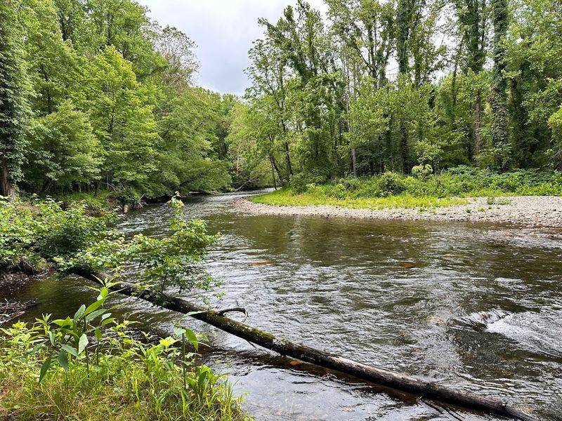 Great Smoky Mountains National Park