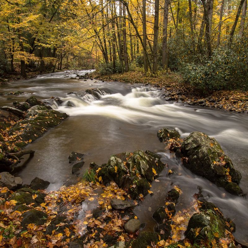 Little River Road (Smokies)