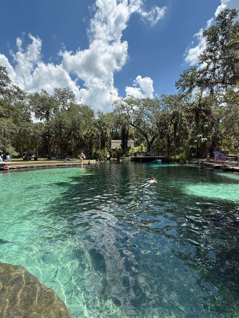 Ocala National Forest, Silver Springs