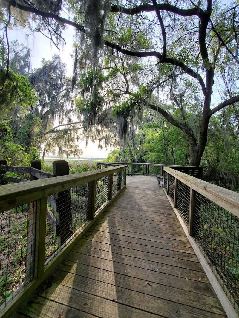 Practical Tips, Etiquette, And Safety