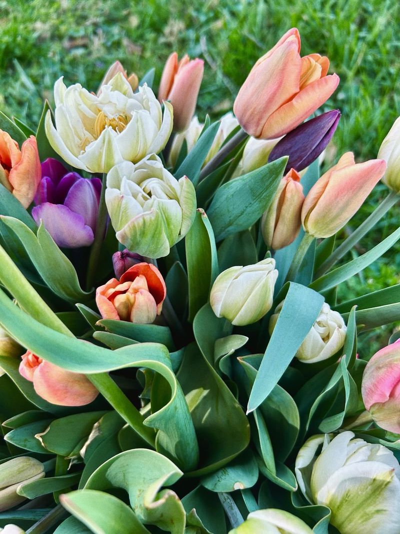 40:8 Flower Co. &mdash; Cookeville