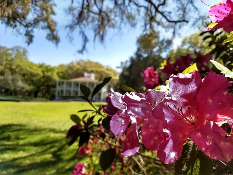 Eden Gardens State Park (Point Washington)