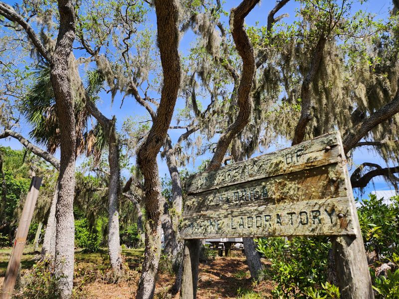 Cedar Keys National Wildlife Refuge (detour to Cedar Key)