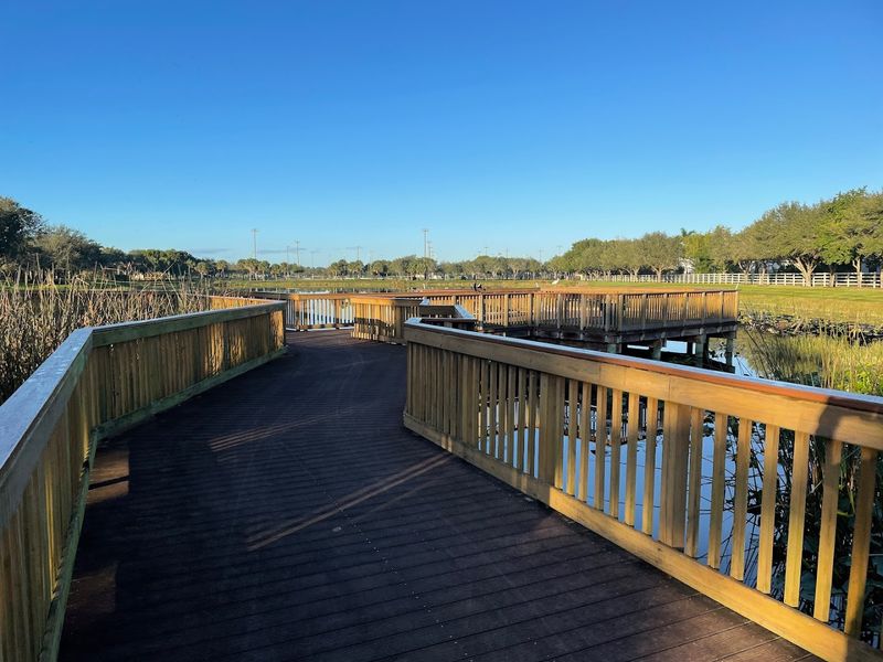 Your Easy On-Ramp to the Everglades