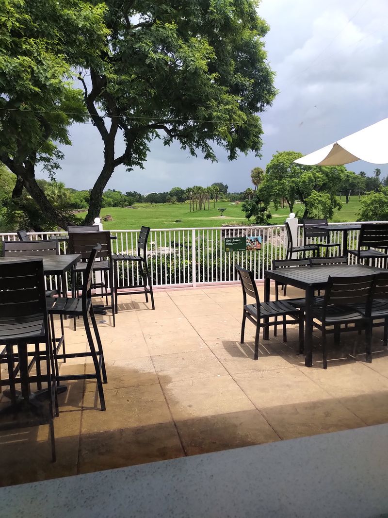 Busch Gardens Serengeti Overlook Restaurant (Tampa)