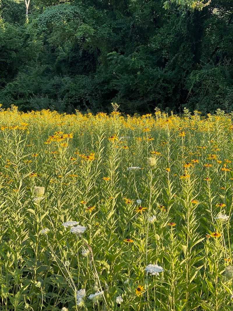 Norris Dam State Park