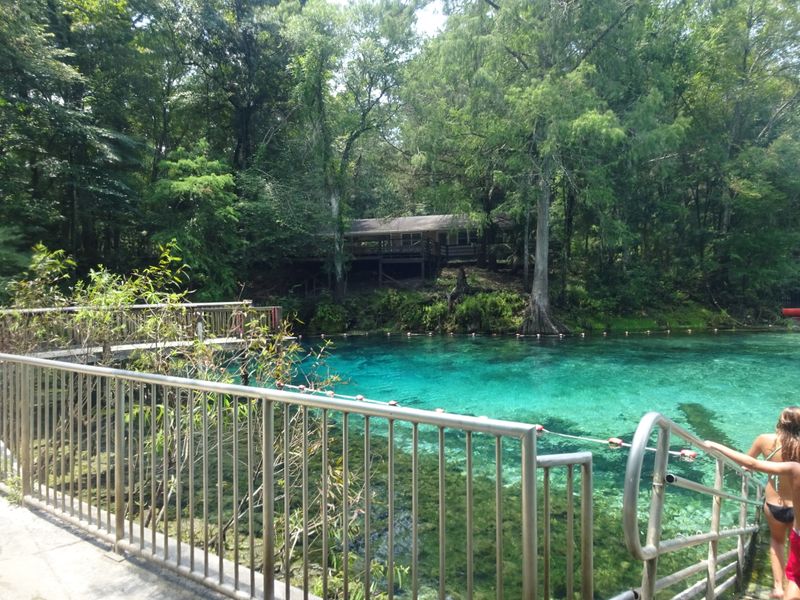 Fanning Springs (Levy County)