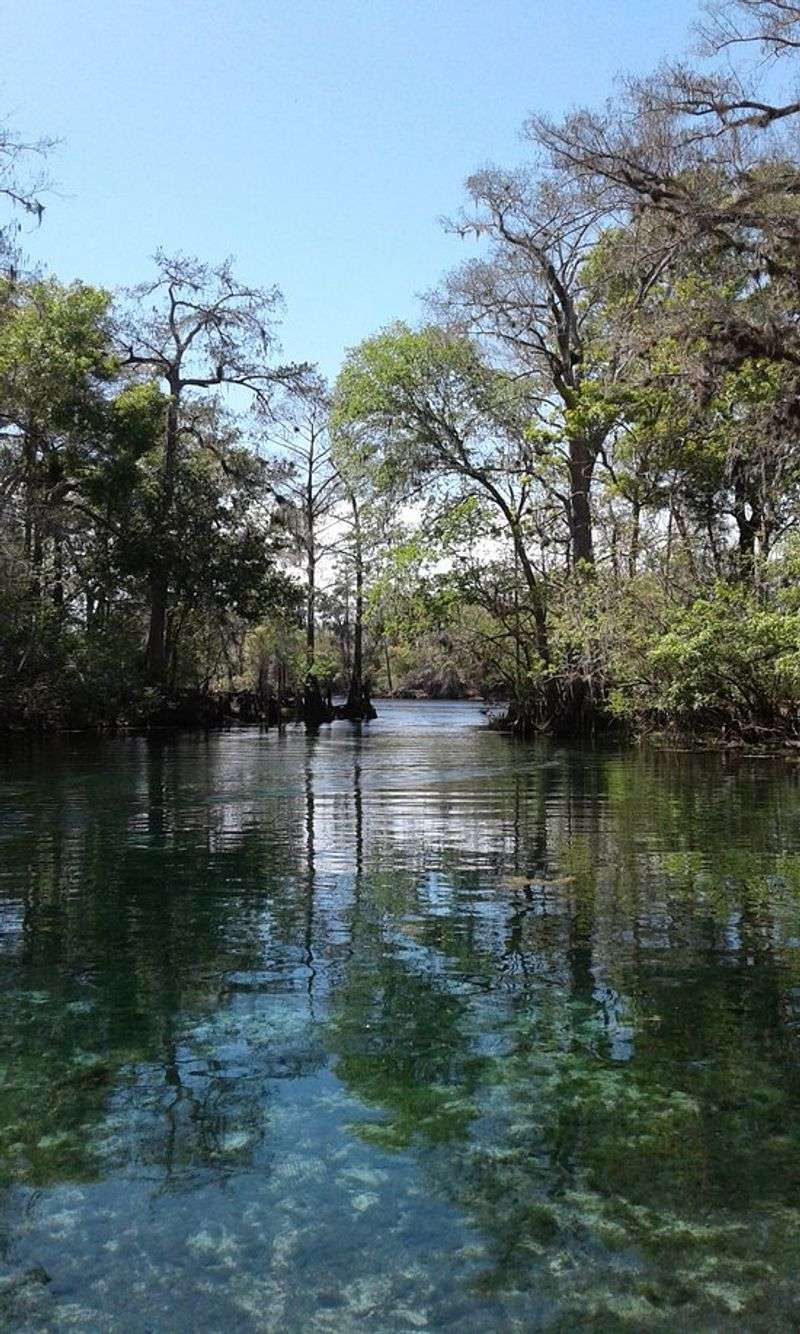 Planning Tips, Seasons, and Safety