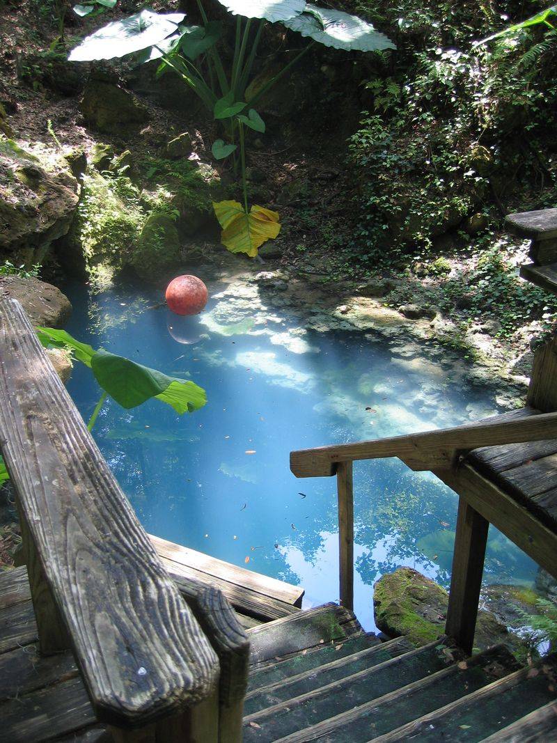 What Visitors Can Expect Above the Water