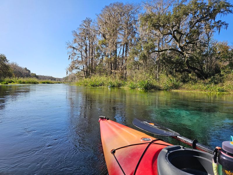 Paddling: Kayaks and Stand Up Paddleboards