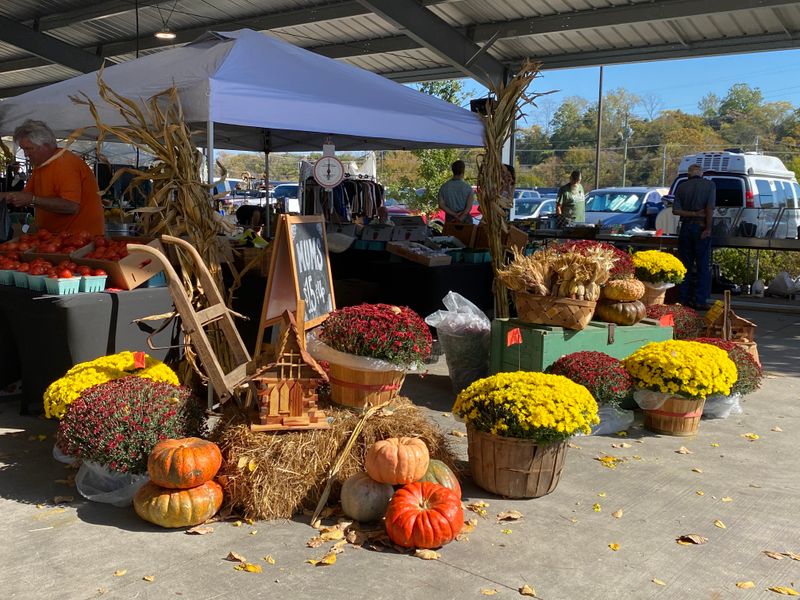 Budgeting, Packing, and Getting It Home