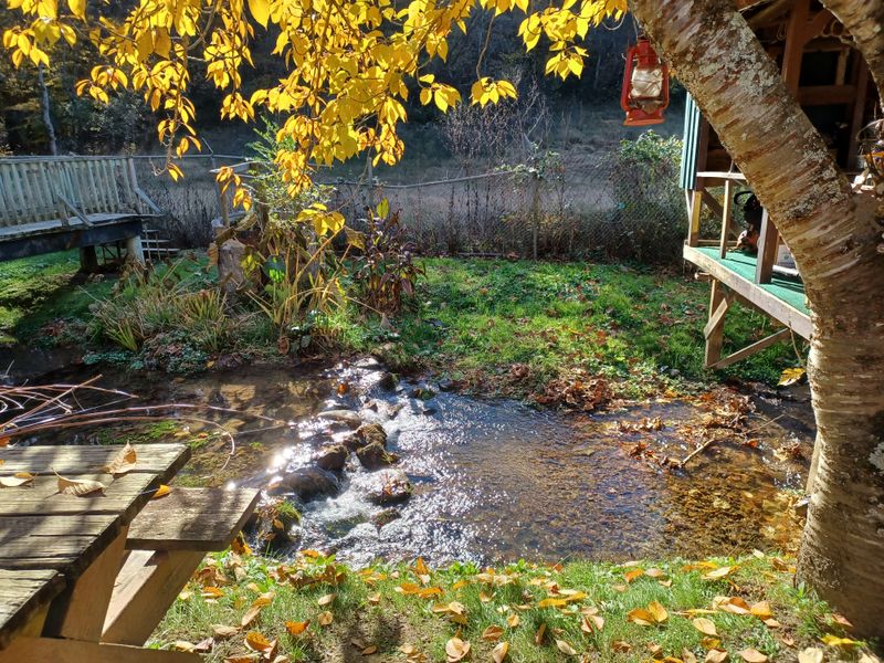 More Than a Meal: The Laid-Back Mountain Atmosphere